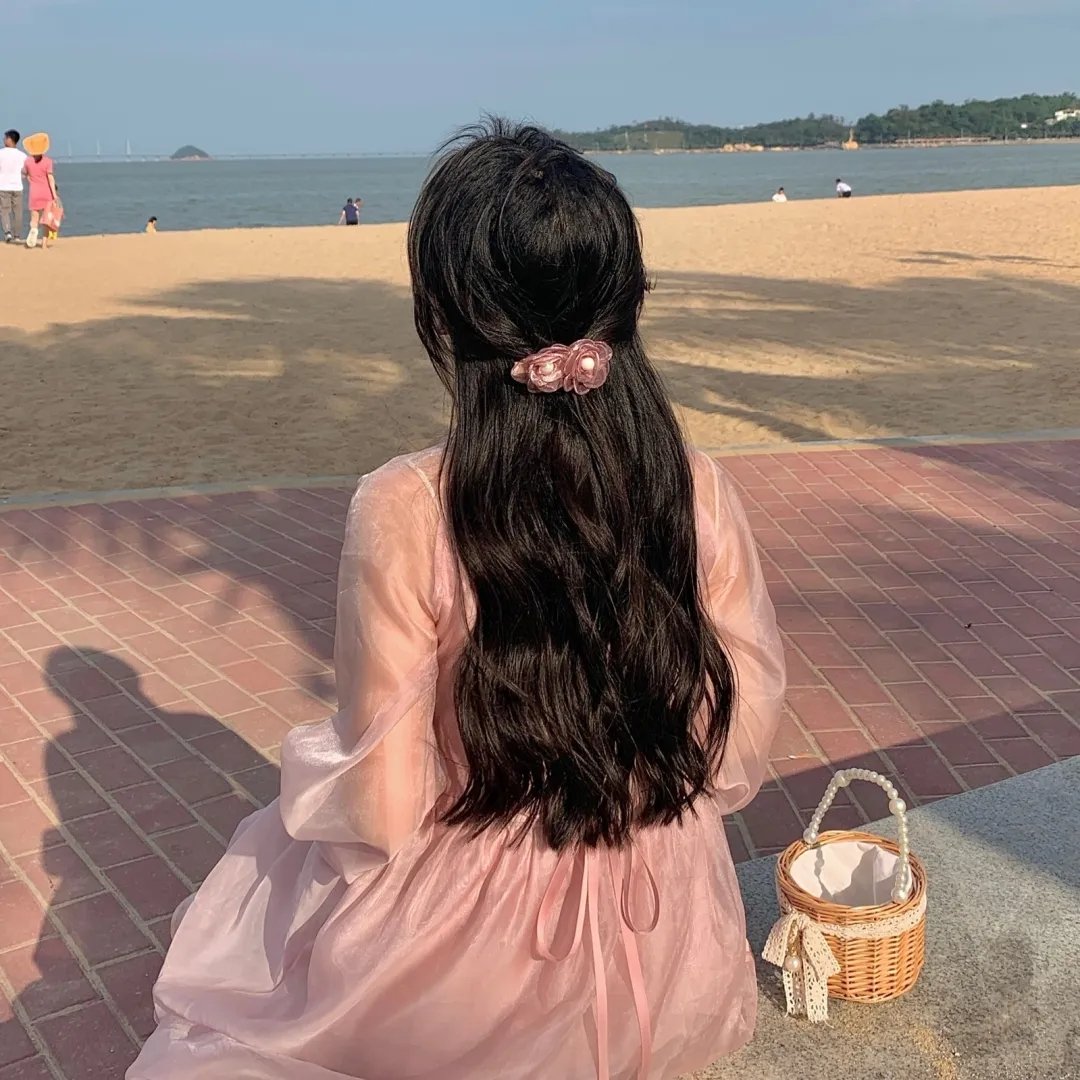 兰闺飞凤
